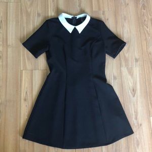 Black Fitted T-shirt dress with white collar